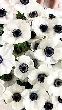 an arrangement of white and black flowers on display