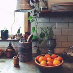 a basket filled with oranges sitting on top of a counter next to a lamp