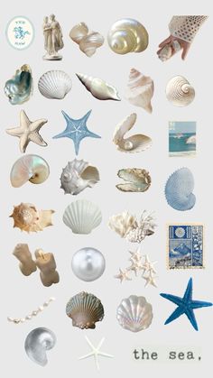 various seashells and starfish are arranged on a white background with the words the sea, written below them