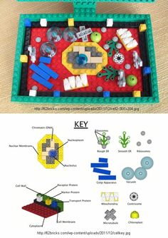 an image of legos with instructions on how to make it and what to put in them