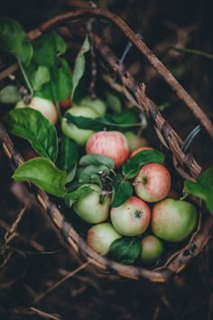 a basket filled with apples sitting on top of a pile of grass and leaves next to green leaves