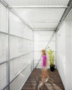 a woman walking down a wooden floor next to a plant on top of a white wall