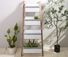 a wooden ladder next to a potted plant