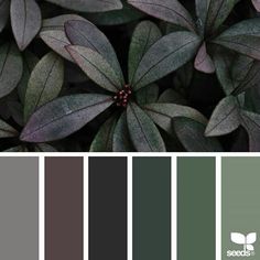 the color scheme is green and gray, with some red berries on top of it