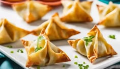 several small dumplings on a white plate with green garnishes around them