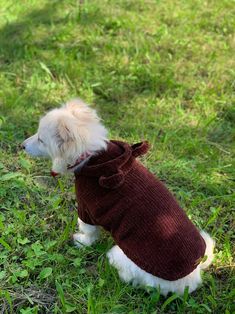 a small white dog wearing a brown sweater sitting in the grass with its head turned to the side