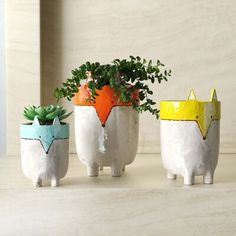 three ceramic planters with plants in them