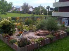 a garden with lots of plants and flowers in the grass next to a fenced area