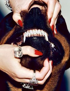 a woman with red nails holding a dog's teeth