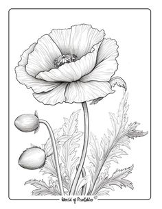 a drawing of a flower with leaves and flowers in the foreground, on a white background