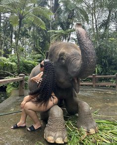 an elephant with its trunk on top of a woman's head