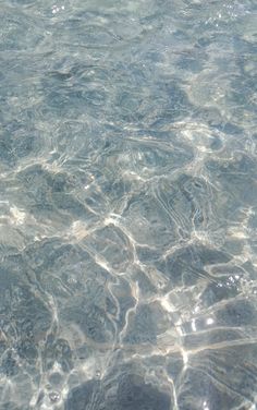 the water is very clear and blue with little ripples on it's surface