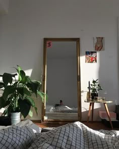 a room with a bed, mirror and plant in it's corner on the floor