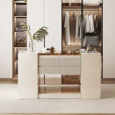 an open closet with clothes hanging on the shelves and a potted plant next to it