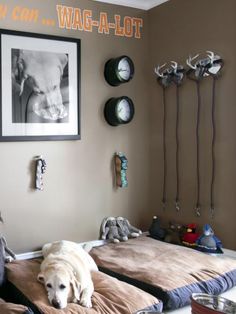 a dog laying on top of two beds in a bedroom next to clocks and pictures