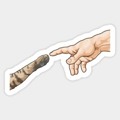 a sticker depicting the creation of a human hand reaching out to a cat's paw