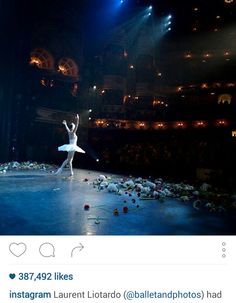 a ballerina is performing on the stage