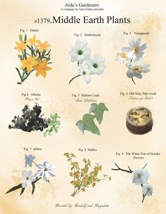 a poster with different types of flowers and plants on it's side, including the names