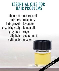 ESSENTIAL OILS FOR HEALTHY SCALP AND HAIR - THE INDIAN SPOT Tea Tree Oil Hair, Oils For Hair, Essential Oils For Hair, Healthy Hair Tips, Itchy Scalp, Healthy Scalp, Oily Hair, Hair Growth Tips