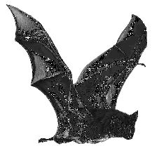 a bat flying through the air with it's wings spread