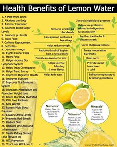 12 Reasons to Drink Lemon Water Daily | Uses & Health Benefits of Lemon Water | Nutrition How Lemon Health, Benefits Of Lemon Water, Benefits Of Lemon, Lemon Health Benefits, Coconut Health Benefits, Lemon Water, Detox Smoothie, Health Info, Health Remedies