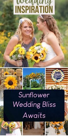 the sunflower wedding bliss awaits you to see it in all its spleny glory