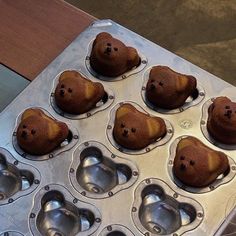 a muffin tin filled with lots of brown teddy bears