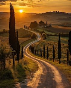 the sun is setting over an empty country road with trees and rolling hills in the background