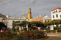 a fountain surrounded by flowers and buildings in the background