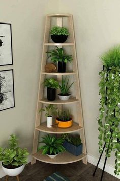 a corner shelf with plants and pictures on the wall