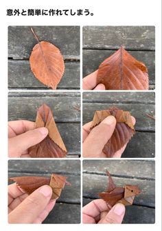 four different pictures of leaves being held together