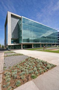 an office building with glass windows and plants in the foreground on a sunny day