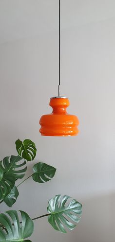 an orange light hanging from a ceiling next to a green plant