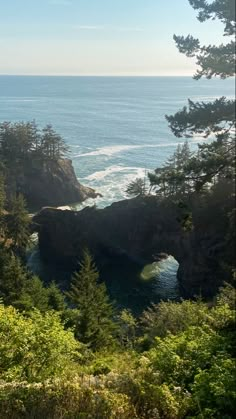 an ocean view with trees and rocks in the foreground