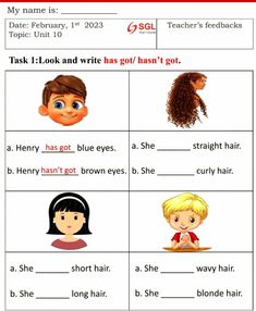 the worksheet for describing different types of hair and how they are used to describe them