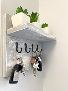 a key rack with keys hanging from it's sides and two potted plants on the other side