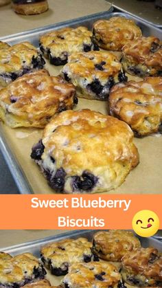 sweet blueberry biscuits on a baking sheet with the words, sweet blueberry biscuits