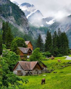 an image of a mountain village with animals in the foreground