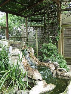 a small waterfall in the middle of a garden