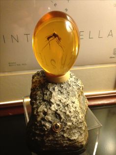 a glass ball sitting on top of a rock in front of a sign that says intrellla