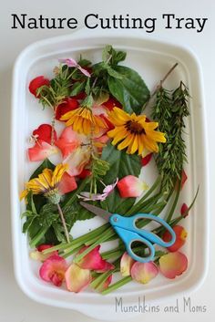 flowers and leaves in a tray with text overlay that reads how to make nature cutting tray