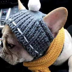 a small dog wearing a knitted hat and scarf in the back seat of a car