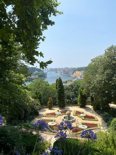 an aerial view of a garden with many flowers and plants in the center, surrounded by trees