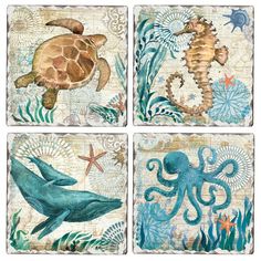 CounterArt "Monterey Bay" Multicolor Absorbent Stone Tumbled Tile Coaster 4 Pack. Manufactured in the USA in our Springfield TN facility. Constructed of absorbent stone to absorb excess condensation from beverages. Cork backing protects your surfaces from scratches and stains. Each Coaster measures 4 inch by 4 inch square. Beautiful artistic designs allow the Coasters to remain displayed even when not in use. This 4 pack Coaster Set makes a wonderful gift for family and friends at any time of th Coastal Room Decor, Sea Turtle Pictures, Bathroom Canvas Art, Condo House, Dolphin Painting, Creature Marine, Sea Turtle Wall Art, Spa Lounge, Bathroom Wall Decor Art