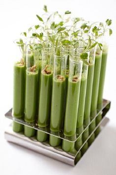 several glasses filled with green liquid and sprouts in them on a metal tray