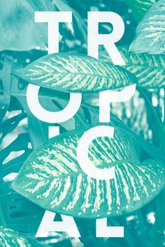 the words tropicaal are surrounded by green leafy plants in white letters