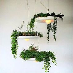 three hanging planters with plants in them and the price is $ 4 99 each