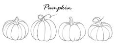 four pumpkins with the word pumpkin written in black ink on white paper, lined up