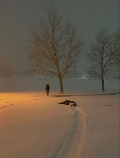 a person standing in the snow next to a tree and a dog laying on the ground