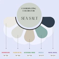 the color scheme for coordinating colors for sea salt